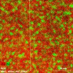 Prof. Field visits NSUF partner facility